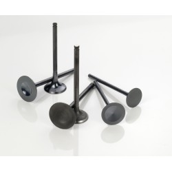 Pakoventtiili CRF250R 04-07 , CRF250X 04-17 Rauta