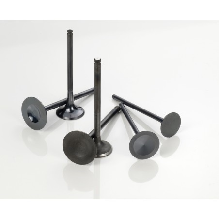 Pakoventtiili CRF250R 04-07 , CRF250X 04-17 Rauta